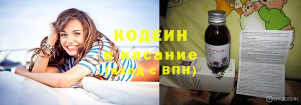 шишки Заволжск