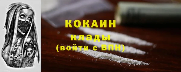PSILOCYBIN Елизово