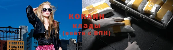 шишки Заволжск