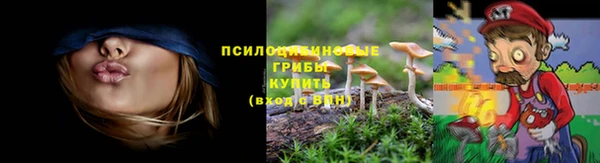 дживик Елабуга