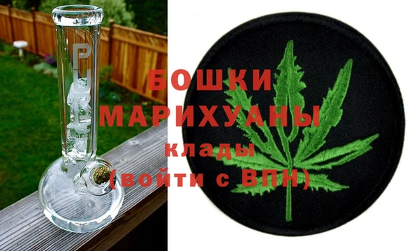 шишки Заволжск