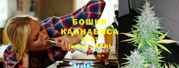 ГАЛЛЮЦИНОГЕННЫЕ ГРИБЫ Заводоуковск