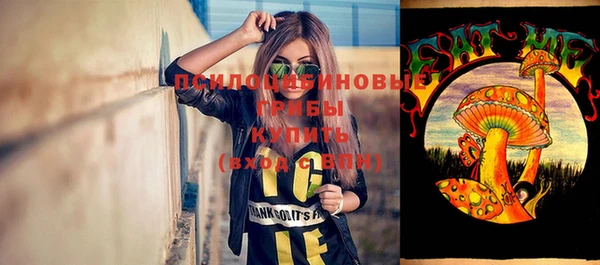 PSILOCYBIN Елизово