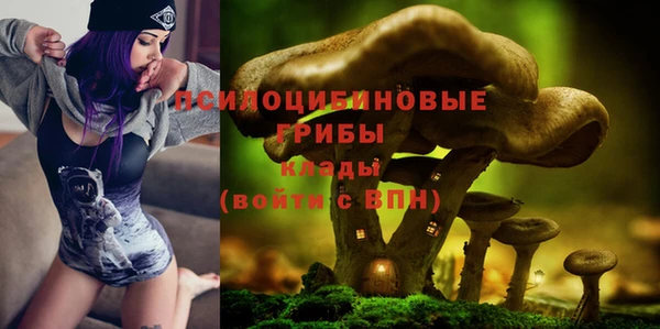 ГАЛЛЮЦИНОГЕННЫЕ ГРИБЫ Заводоуковск