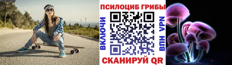 Псилоцибиновые грибы Cubensis  где купить наркоту  Кондопога 