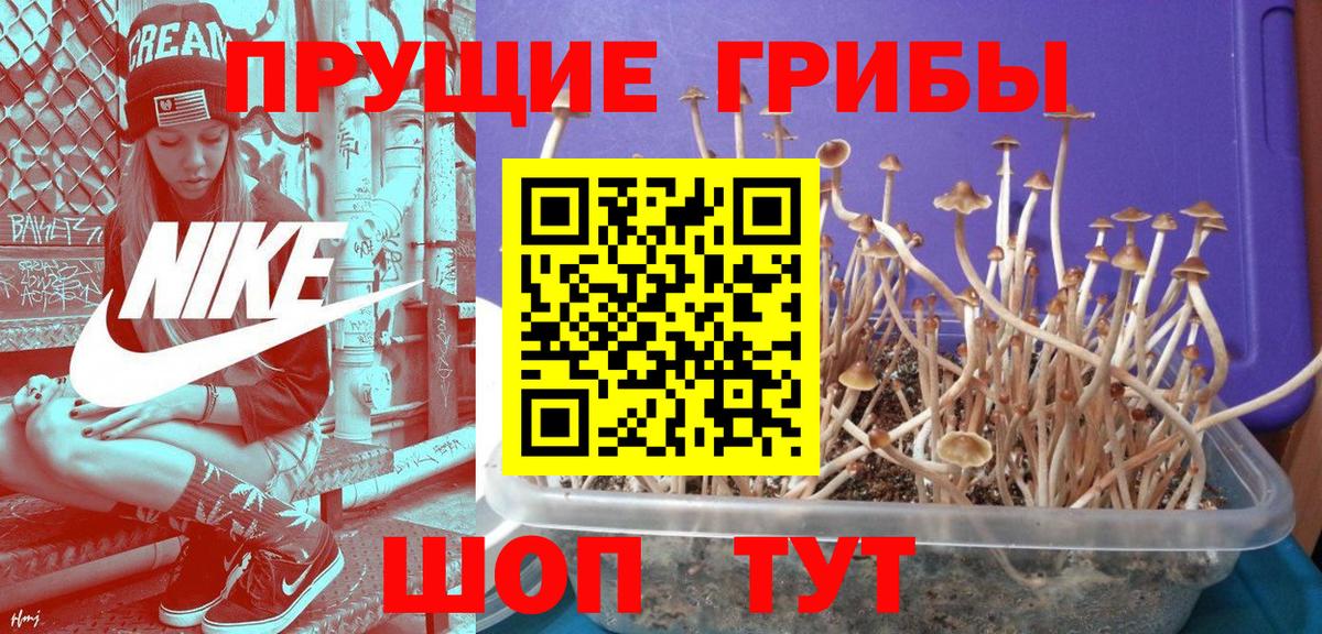 Псилоцибиновые грибы Cubensis  дарнет шоп  Кондопога  Вход с VPN 